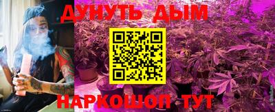 дмт Магадан
