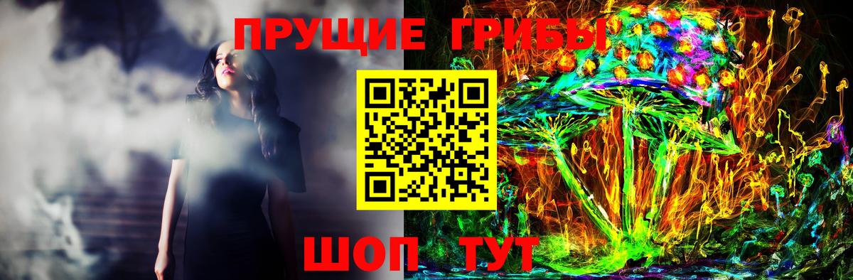 Галлюциногенные грибы GOLDEN TEACHER  Вход с VPN  Галлюциногенные грибы Magic Shrooms  закладка  Асино 