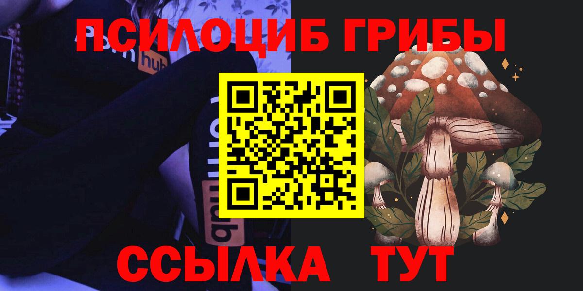 Псилоцибиновые грибы ЛСД Асино